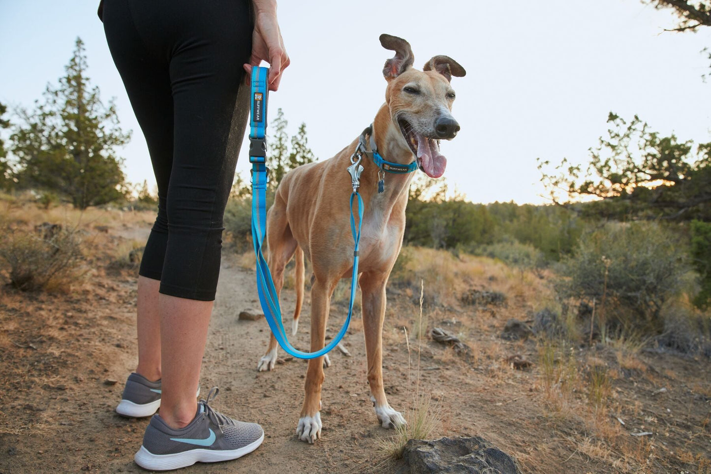 Ruffwear Web Reaction Martingale Dog Collar